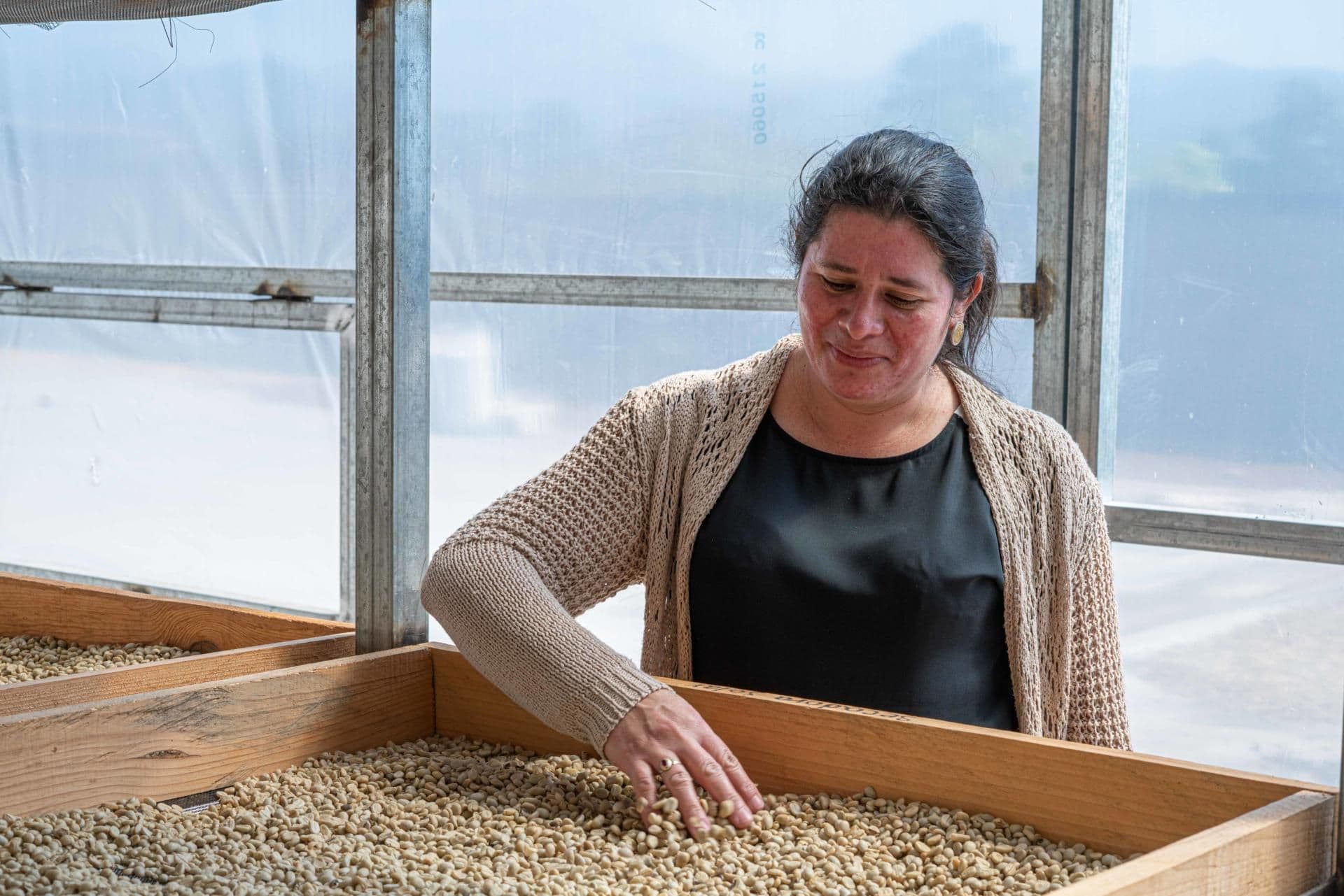 María overseeing coffee quality and commercialization in COPRANIL María overseeing coffee quality and commercialization in COPRANIL