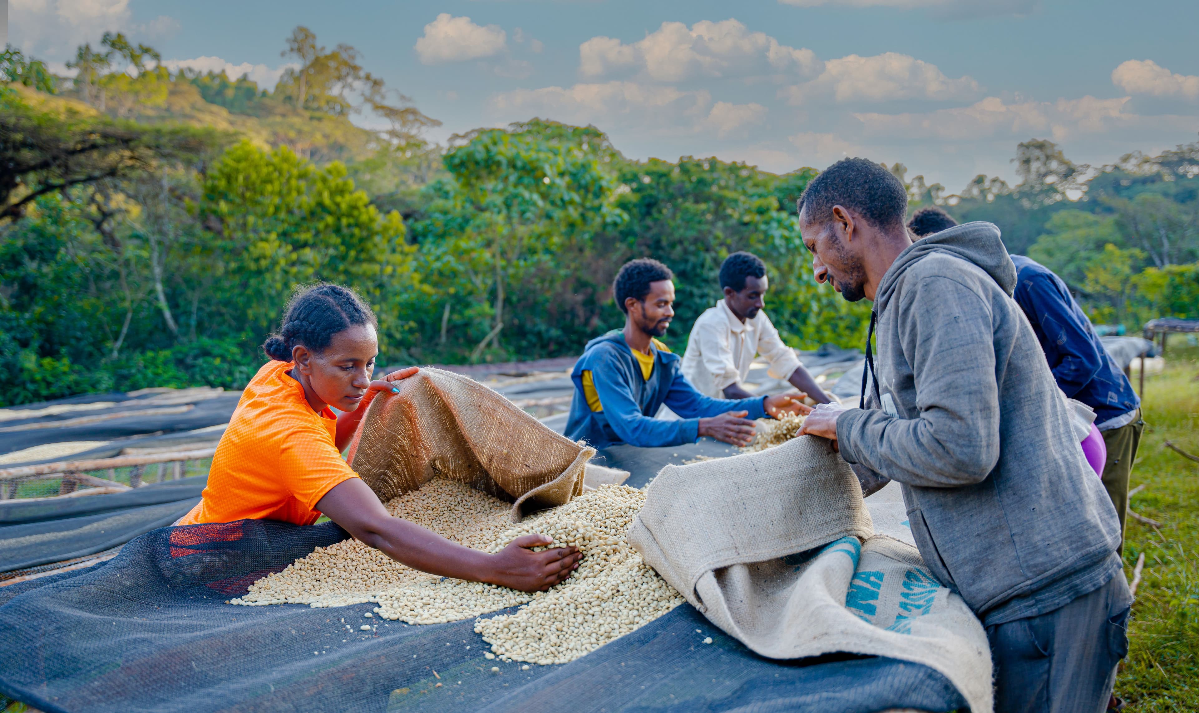 Discussing sustainable development on the fields Improving good agricultural practices