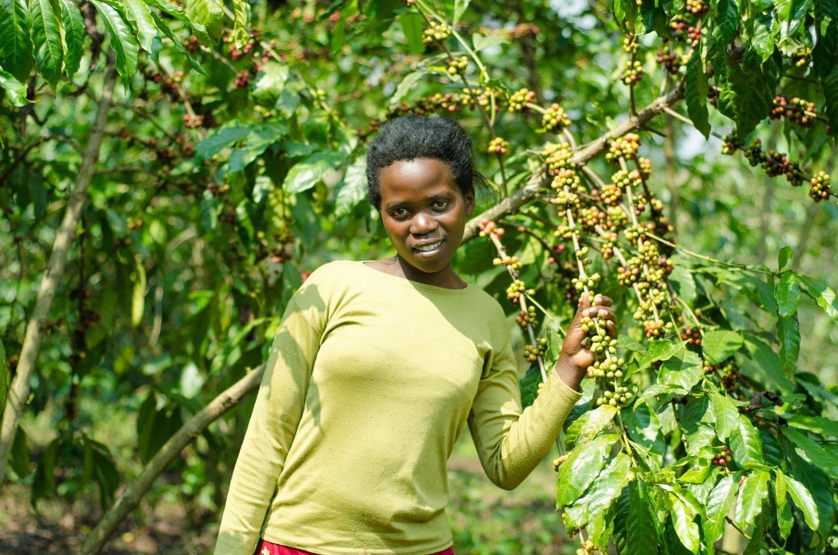 Cloudine in her coffee farm financed through the KYDP youth loan facility Cloudine in her coffee farm financed through the KYDP youth loan facility