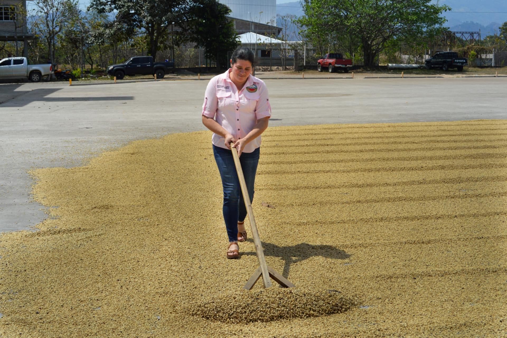 María overseeing coffee quality and commercialization in COPRANIL María overseeing coffee quality and commercialization in COPRANIL