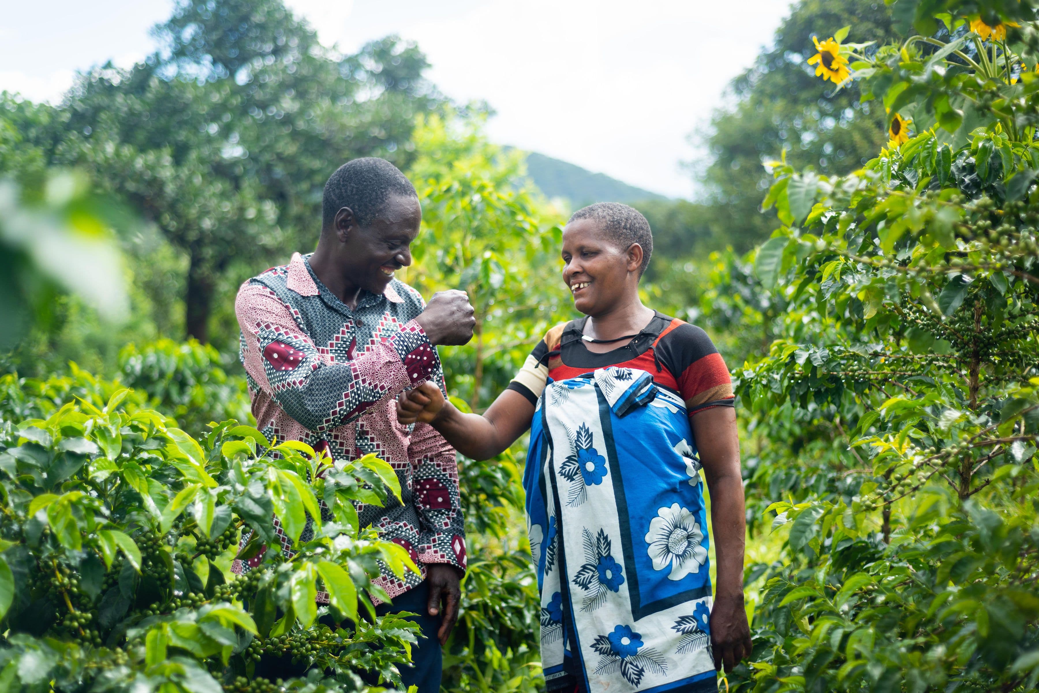 transformative change in farming communities Impact of projects in smallholder coffee farmer communities